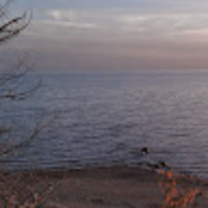 Meet your Posher, Darlene